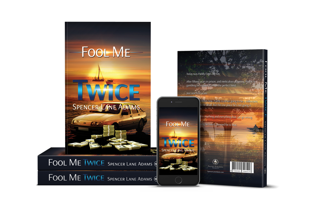 Fool Me Twice Crime Thriller Novel